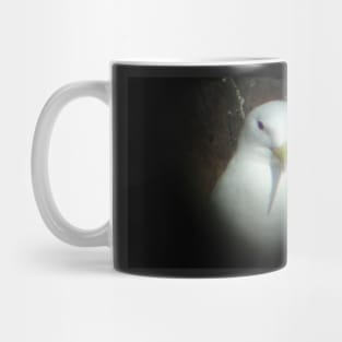 seabird Mug